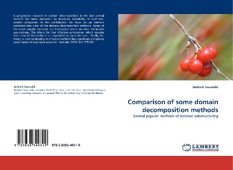 Comparison of some domain decomposition methods: Several popular methods of iterative substructuring