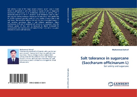 Salt tolerance in sugarcane (Saccharum officinarum L): Soil salinity and sugarcane