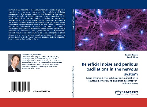 Beneficial noise and perilous oscillations in the nervous system: Noise-enhanced inter-celullular communication in neuronal networks and oscillation synchrony in  epileptic tissue