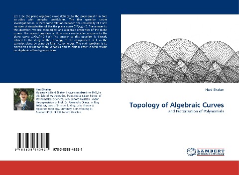 Topology of Algebraic Curves: and Factorization of Polynomials