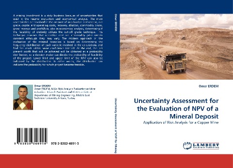 Uncertainty Assessment for the Evaluation of NPV of a Mineral Deposit: Application of Risk Analysis for a Copper Mine