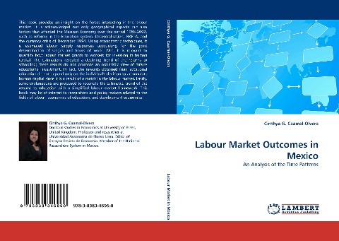 Labour Market Outcomes in Mexico: An Analysis of the Time Patterns