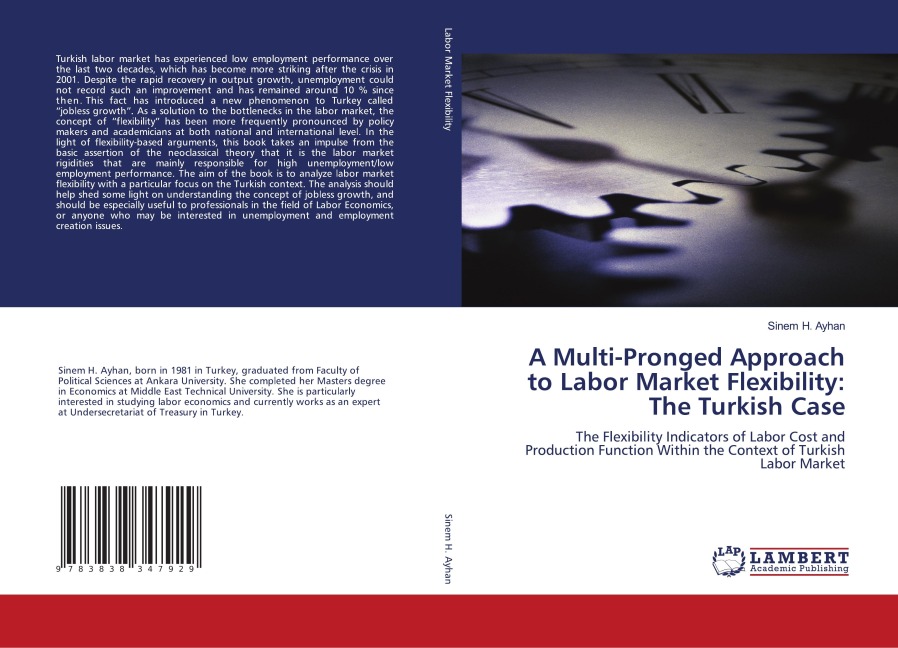 A Multi-Pronged Approach to Labor Market Flexibility: The Turkish Case: The Flexibility Indicators of Labor Cost and Production Function Within the Context of Turkish Labor Market