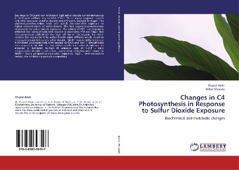Changes in C4 Photosynthesis in Response to Sulfur Dioxide Exposure: Biochemical and metabolic changes