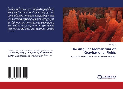 The Angular Momentum of Gravitational Fields: Quasilocal Expressions in Two Spinor Formulations