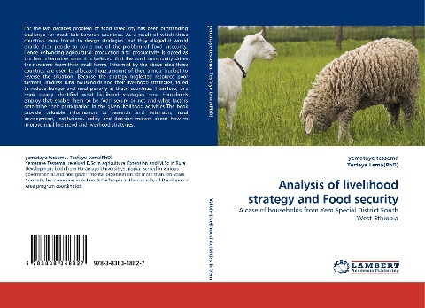 Analysis of livelihood strategy and Food security: A case of households from Yem Special District South West Ethiopia
