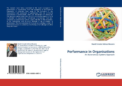 Performance in Organisations: An Autonomous Systems Approach