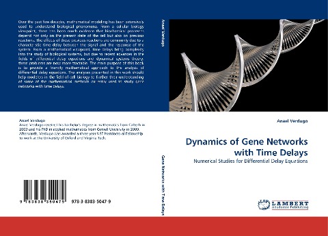 Dynamics of Gene Networks with Time Delays: Numerical Studies for Differential Delay Equations
