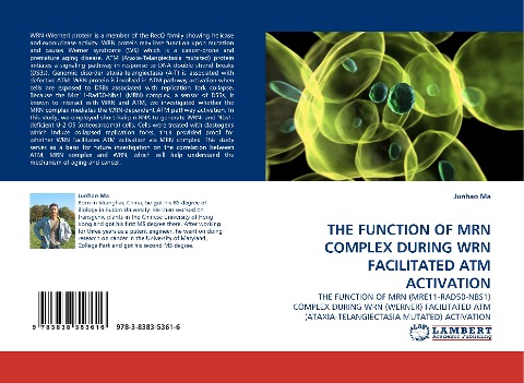 THE FUNCTION OF MRN COMPLEX DURING WRN FACILITATED ATM ACTIVATION: THE FUNCTION OF MRN (MRE11-RAD50-NBS1) COMPLEX DURING WRN (WERNER) FACILITATED ATM (ATAXIA-TELANGIECTASIA MUTATED) ACTIVATION