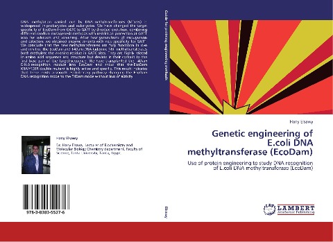 Genetic engineering of E.coli DNA methyltransferase (EcoDam): Use of protein engineering to study DNA recognition of E.coli DNA methyltransferase (EcoDam)