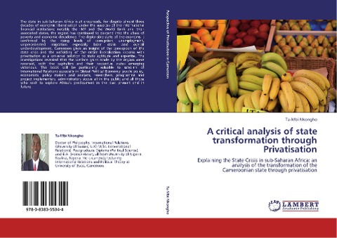 A critical analysis of state transformation through Privatisation: Explaining the State Crisis in sub-Saharan Africa: an analysis of the transformation of the Cameroonian state through privatisation