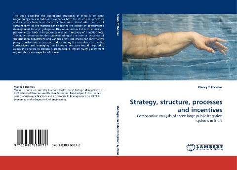 Strategy, structure, processes and incentives: Comparative analysis of three large public irrigation systems in India