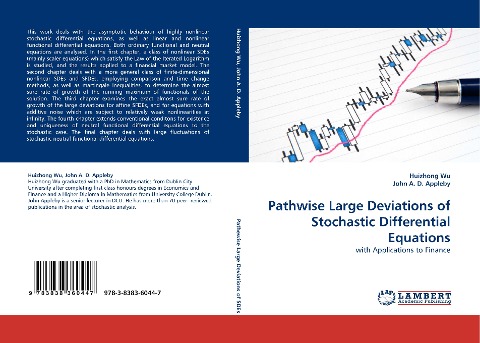 Pathwise Large Deviations of Stochastic Differential Equations: with Applications to Finance