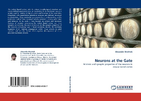 Neurons at the Gate: Intrinsic and synaptic properties of the neurons in mouse barrel cortex