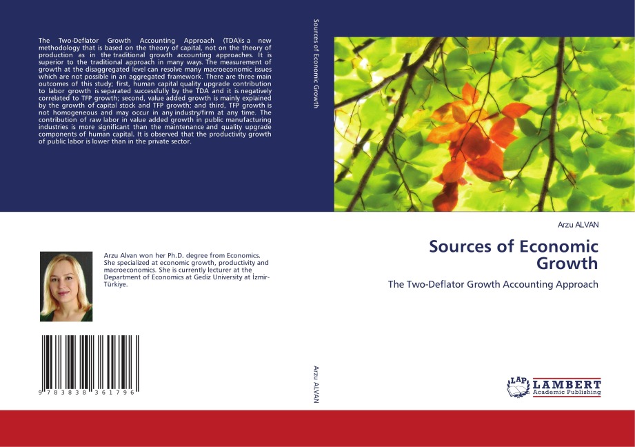 Sources of Economic Growth: The Two-Deflator Growth Accounting Approach
