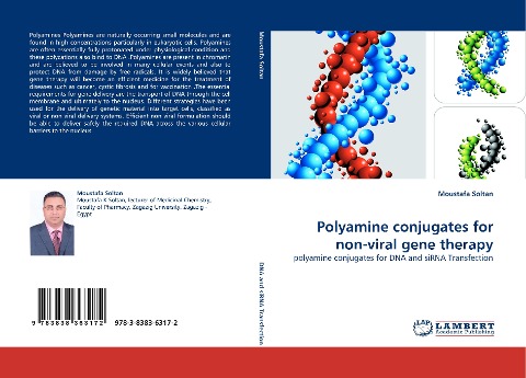 Polyamine conjugates for non-viral gene therapy: polyamine conjugates for DNA and siRNA Transfection