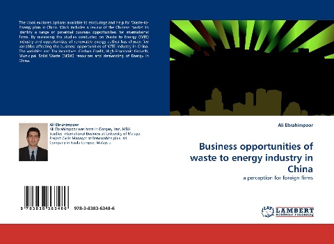 Business opportunities of waste to energy industry in China: a perception for foreign firms