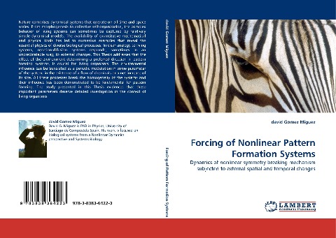 Forcing of Nonlinear Pattern Formation Systems: Dynamics of nonlinear symmetry breaking mechanism subjected to external spatial and temporal changes