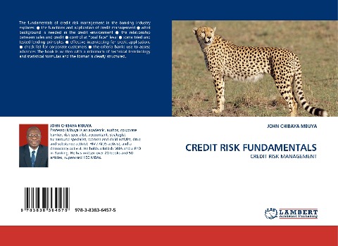 CREDIT RISK FUNDAMENTALS: CREDIT RISK MANAGEMENT