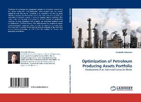 Optimization of Petroleum Producing Assets Portfolio: Development of an Advanced Computer Model