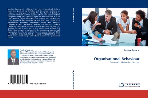 Organisational Behaviour: Teamwork, Motivation, Success