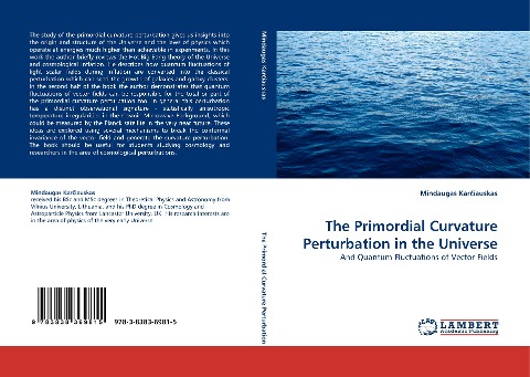 The Primordial Curvature Perturbation in the Universe: And Quantum Fluctuations of Vector Fields