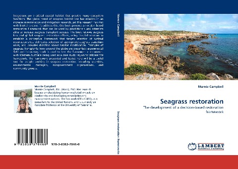 Seagrass restoration: The development of a decision-based restoration framework