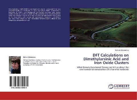 DFT Calculations on Dimethylarsinic Acid and Iron Oxide Clusters: What Density Functional Theory can tell us about the environmental remediation of a harmful herbicide