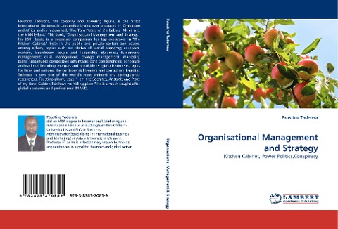 Organisational Management and Strategy: Kitchen Cabinet, Power Politics,Conspiracy