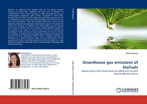 Greenhouse gas emissions of biofuels: Improving Life Cycle Assessments by taking into account local production factors