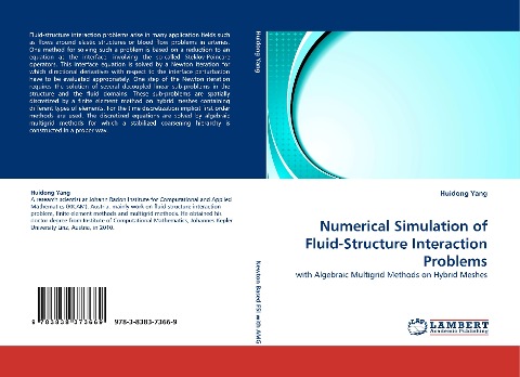 Numerical Simulation of Fluid-Structure Interaction Problems: with Algebraic Multigrid Methods on Hybrid Meshes