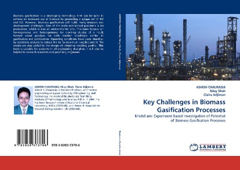 Key Challenges in Biomass Gasification Processes: Model and Experiment based Investigation of Potential of Biomass Gasification Processes