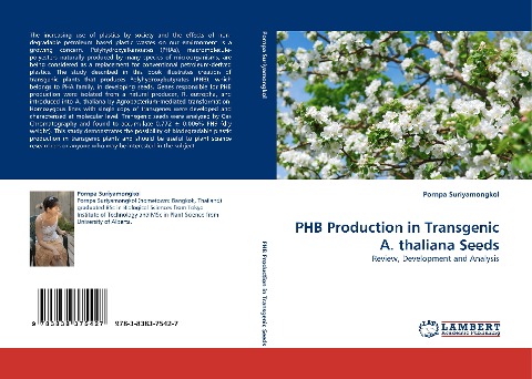 PHB Production in Transgenic A. thaliana Seeds: Review, Development and Analysis