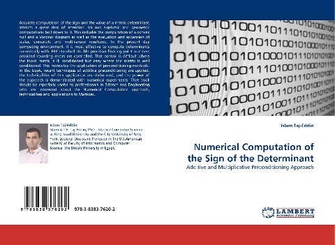 Numerical Computation of the Sign of the Determinant: Additive and Multiplicative Preconditioning Approach