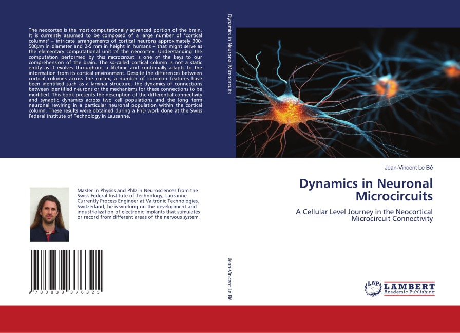 Dynamics in Neuronal Microcircuits: A Cellular Level Journey in the Neocortical Microcircuit Connectivity