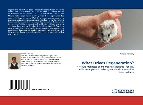 What Drives Regeneration?: A Minute Manifesto on the Many Mechanisms That May Mitigate Organ and Limb Regeneration in Mammalian Mice and Men