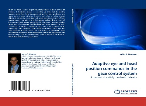 Adaptive eye and head position commands in the gaze control system: A construct of spatially coordinated behavior