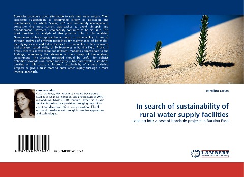 In search of sustainability of rural water supply facilities: Looking into a case of borehole projects in Burkina Faso