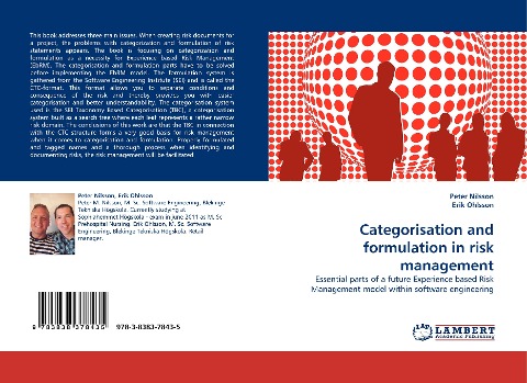 Categorisation and formulation in risk management: Essential parts of a future Experience based Risk Management model within software engineering