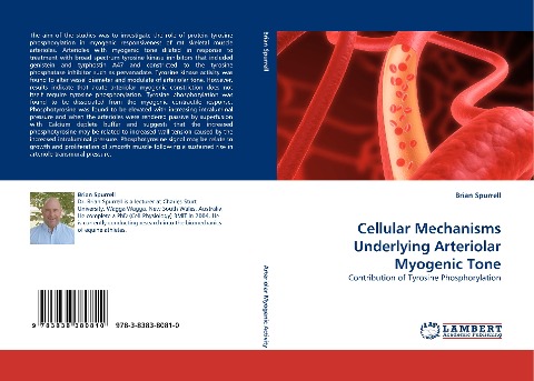 Cellular Mechanisms Underlying Arteriolar Myogenic Tone: Contribution of Tyrosine Phosphorylation