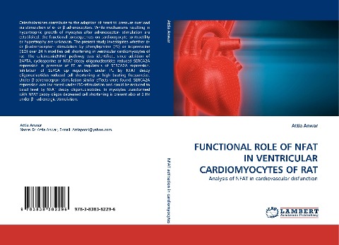 FUNCTIONAL ROLE OF NFAT IN VENTRICULAR CARDIOMYOCYTES OF RAT: Analysis of NFAT in cardiovascular disfunction