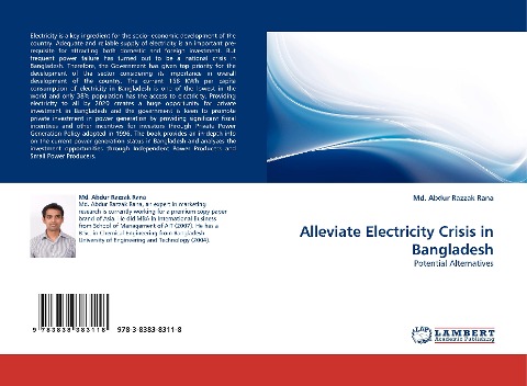 Alleviate Electricity Crisis in Bangladesh: Potential Alternatives
