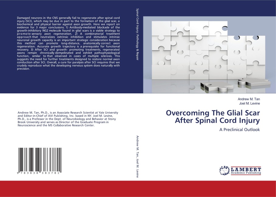 Overcoming The Glial Scar After Spinal Cord Injury: A Preclinical Outlook