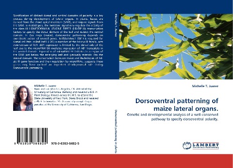 Dorsoventral patterning of maize lateral organs.: Genetic and developmental analysis of a well-conserved pathway to specify dorsoventral polarity.