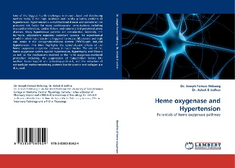 Heme oxygenase and Hypertension: Potentials of heme oxygenase pathway