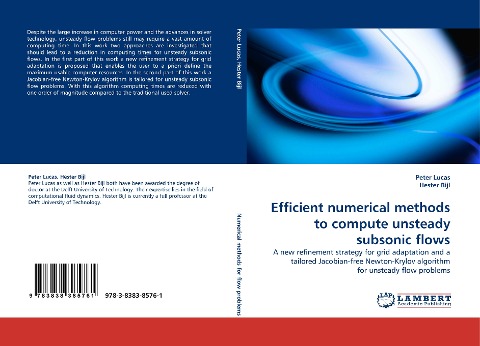Efficient numerical methods to compute unsteady subsonic flows: A new refinement strategy for grid adaptation and a tailored Jacobian-free Newton-Krylov algorithm for unsteady flow problems