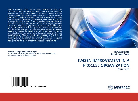 KAIZEN IMPROVEMENT IN A PROCESS ORGANIZATION: Productivity