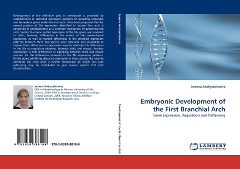 Embryonic Development of the First Branchial Arch: Gene Expression, Regulation and Patterning