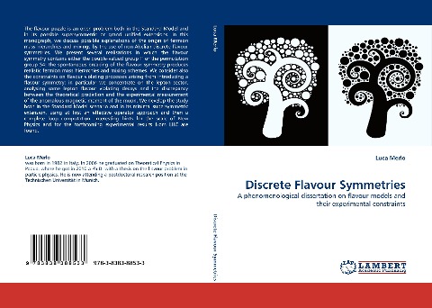 Discrete Flavour Symmetries: A phenomenological dissertation on flavour models and their experimental constraints