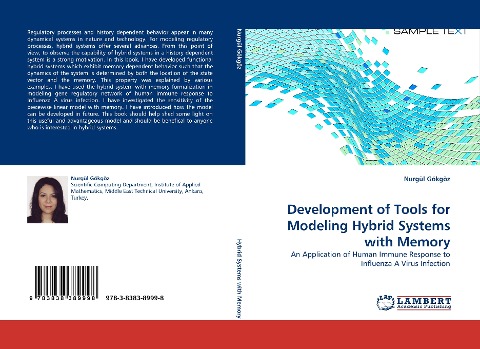 Development of Tools for Modeling Hybrid Systems with Memory: An Application of Human Immune Response to Influenza A Virus Infection